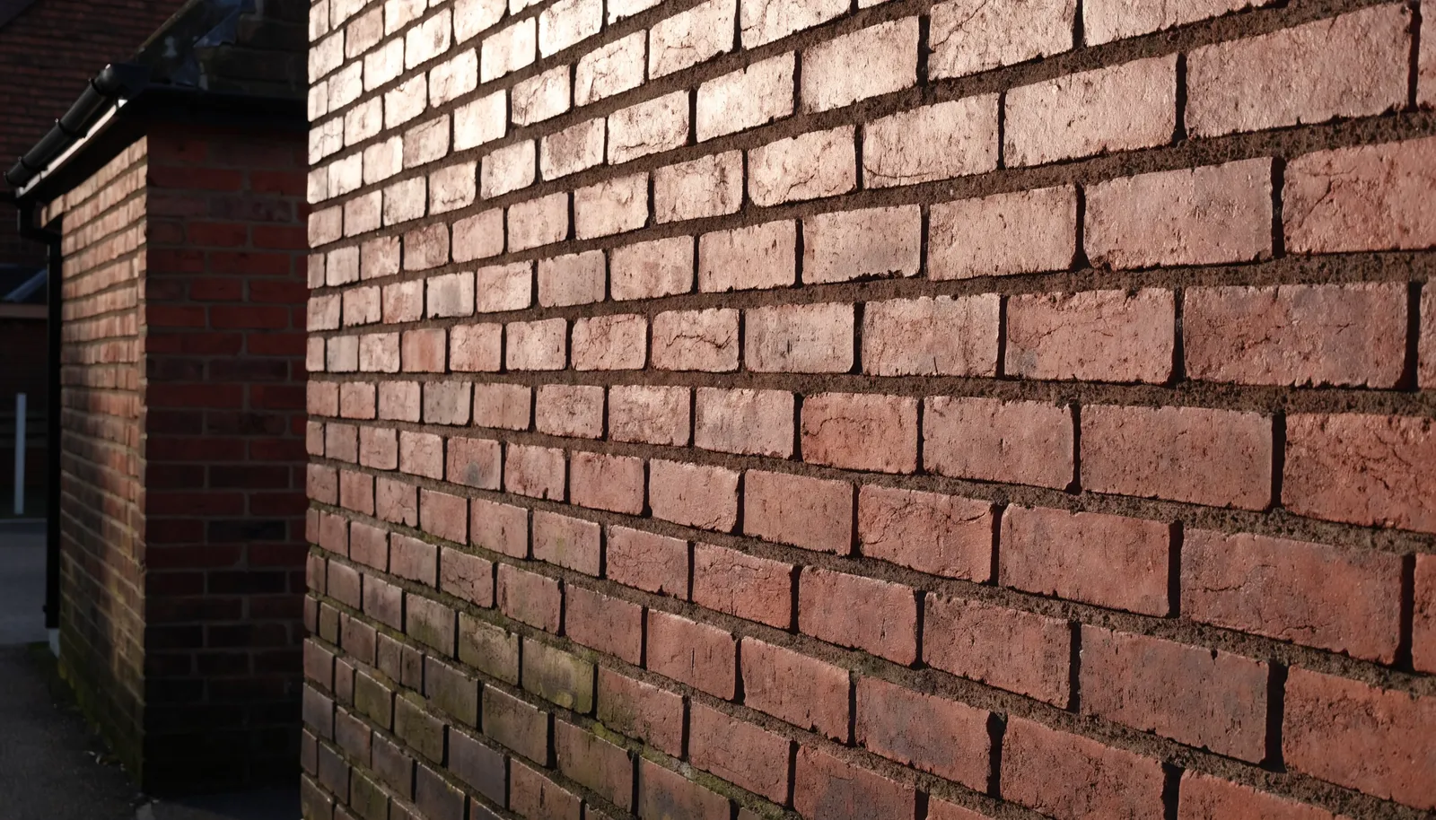 A red brick house wall in stretcher bond with algae on the shaded courses